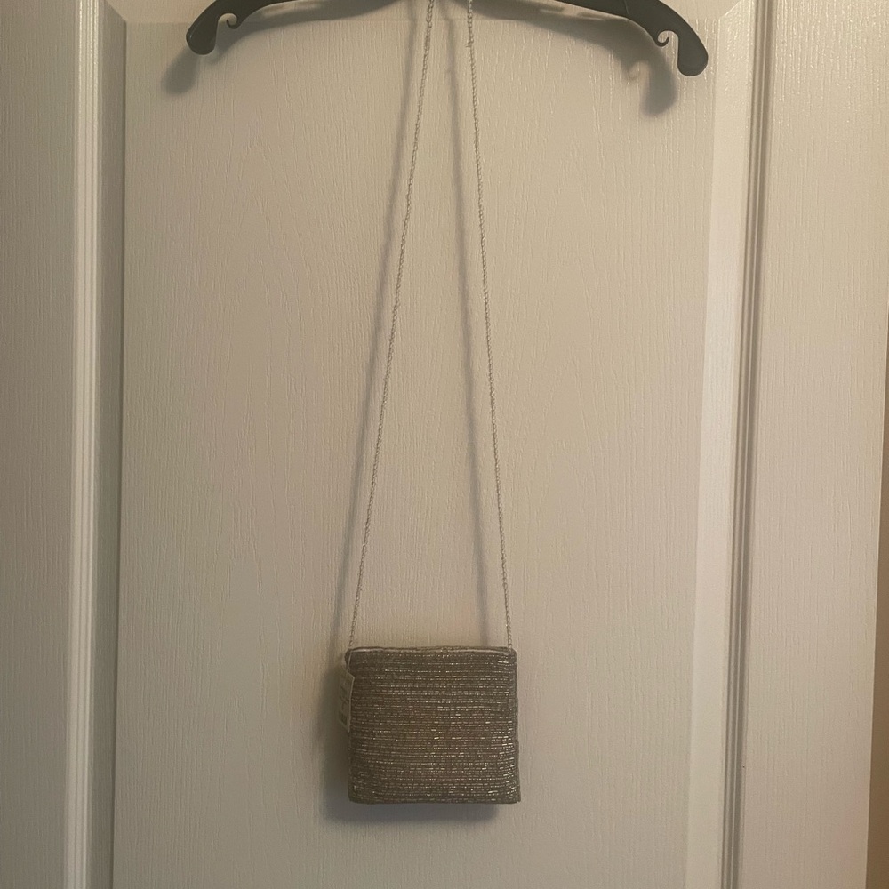 Ann Taylor Shimmering Silver Mini Bag